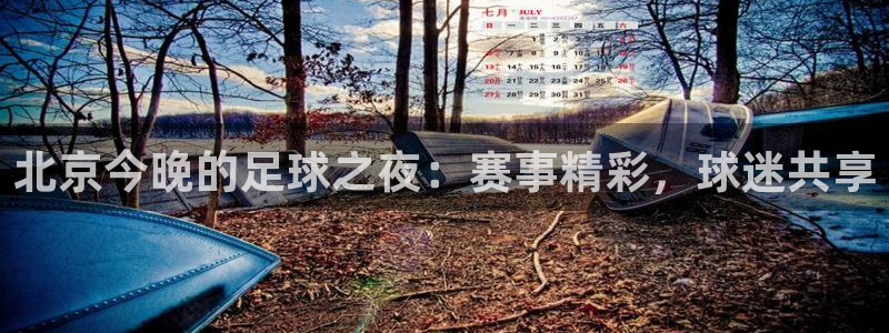  北京今晚的足球之夜：赛事精彩，球迷共享