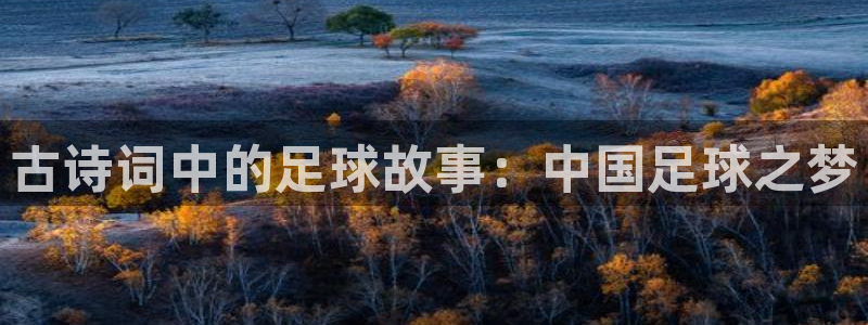 古诗词中的足球故事：中国足球之梦