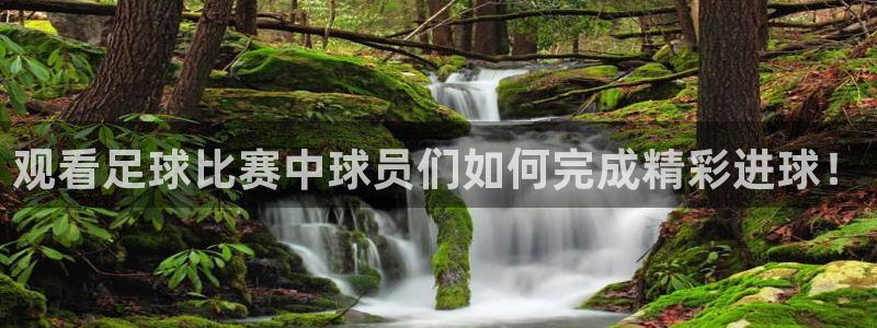  观看足球比赛中球员们如何完成精彩进球！