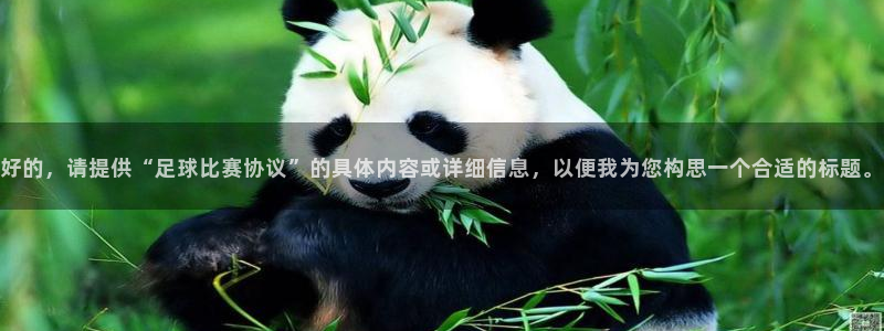  好的，请提供“足球比赛协议”的具体内容或详细信息，以便我为您