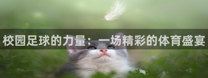 校园足球的力量：一场精彩的体育盛宴