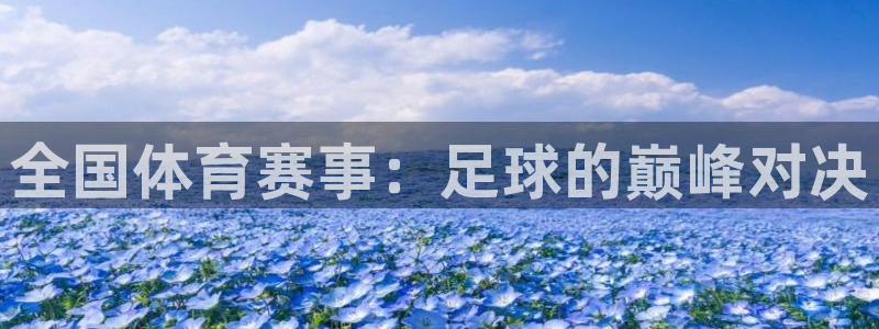  全国体育赛事：足球的巅峰对决