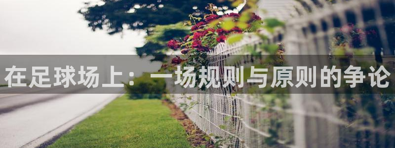 在足球场上：一场规则与原则的争论