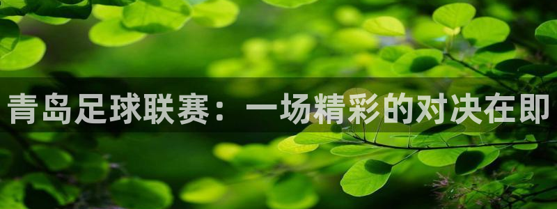 青岛足球联赛：一场精彩的对决在即