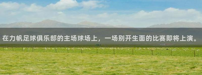 在力帆足球俱乐部的主场球场上，一场别开生面的比赛即将上演。