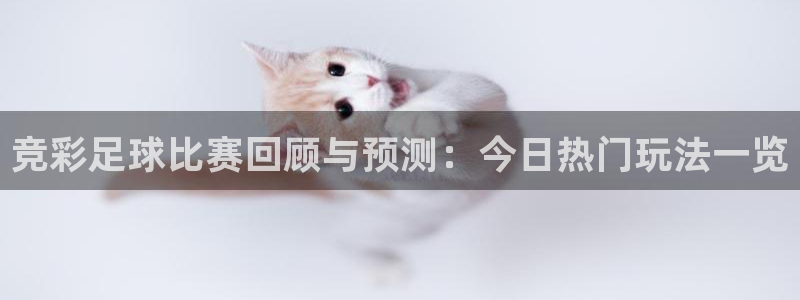 竞彩足球比赛回顾与预测：今日热门玩法一览