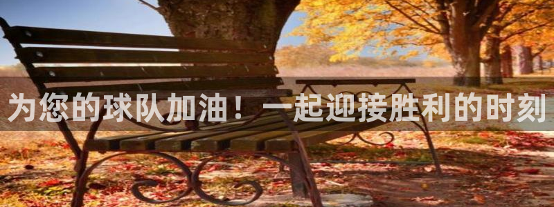 为您的球队加油！一起迎接胜利的时刻