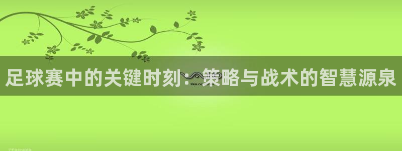  足球赛中的关键时刻：策略与战术的智慧源泉