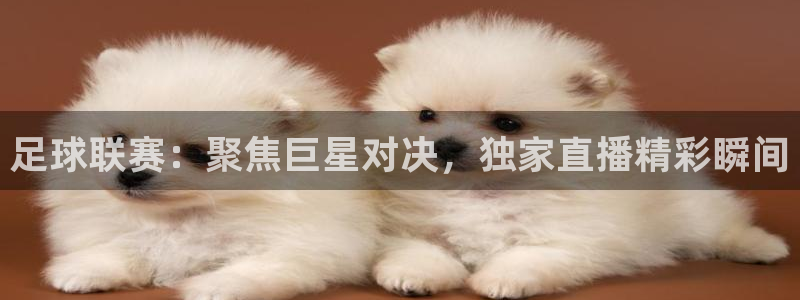 足球联赛：聚焦巨星对决，独家直播精彩瞬间