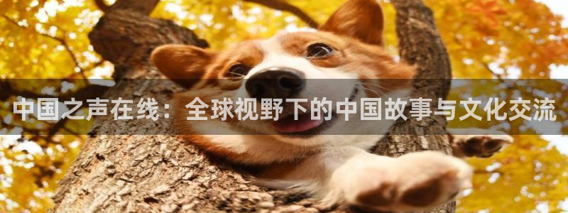 极速体育直播间：中国之声在线：全球视野下的中国故事与文化交流