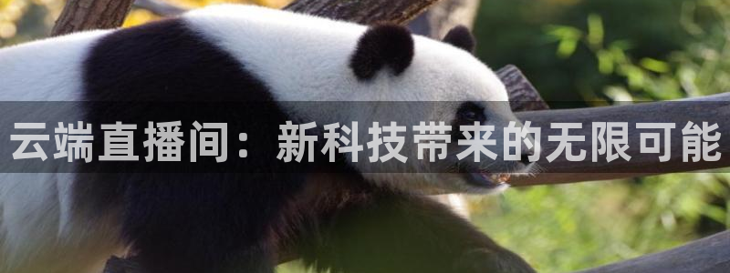极速体育nba直播吧篮球：云端直播间：新科技带来的无限可能