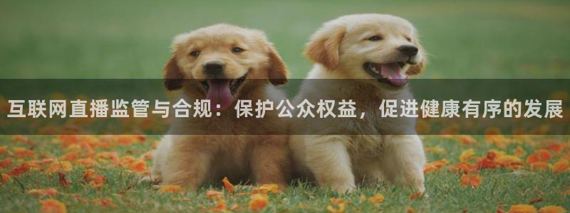 极速直播体育吧：互联网直播监管与合规：保护公众权益，促进健康有序的发展