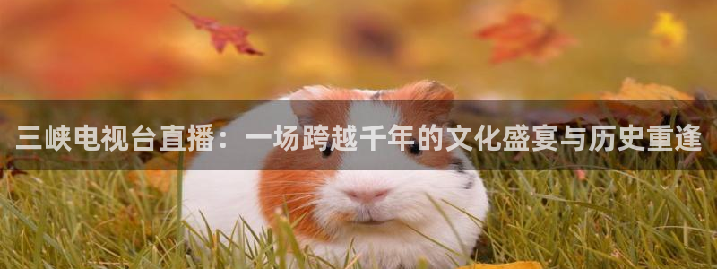 极速直播吧nba直播：三峡电视台直播：一场跨越千年的文化盛宴与历史重逢