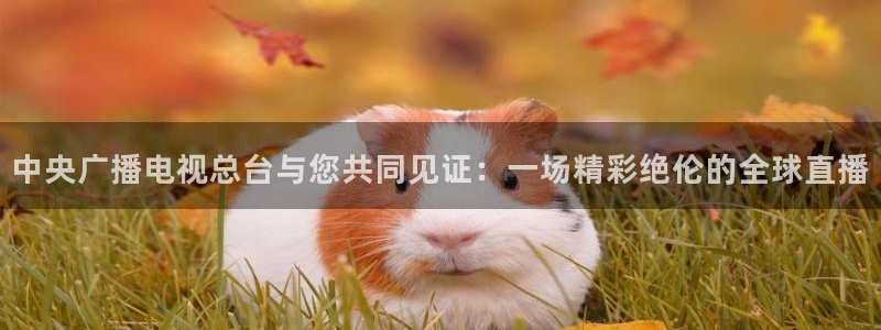 极速体育直播间在线观看：中央广播电视总台与您共同见证：一场精彩绝伦的全球直播