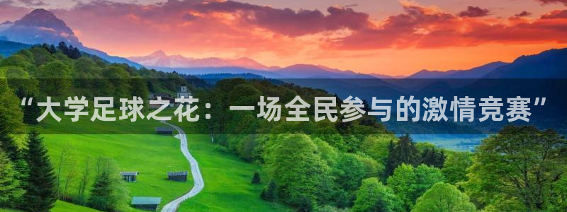 “大学足球之花：一场全民参与的激情竞