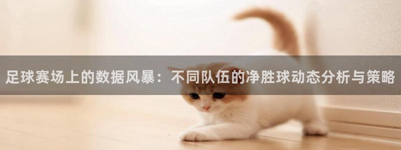 足球赛场上的数据风暴：不同队伍的净胜