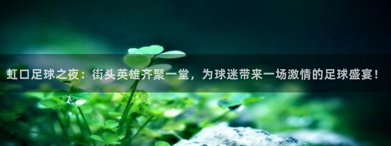 虹口足球之夜：街头英雄齐聚一堂，为球
