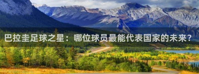 巴拉圭足球之星：哪位球员最能代表国家