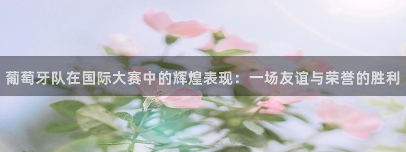 葡萄牙队在国际大赛中的辉煌表现：一场