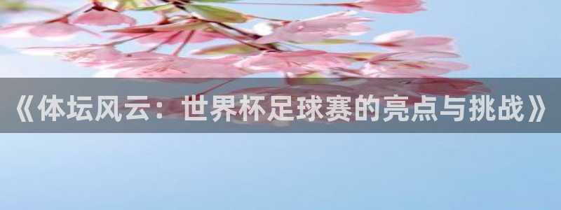 《体坛风云：世界杯足球赛的亮点与挑战
