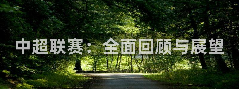中超联赛：全面回顾与展望