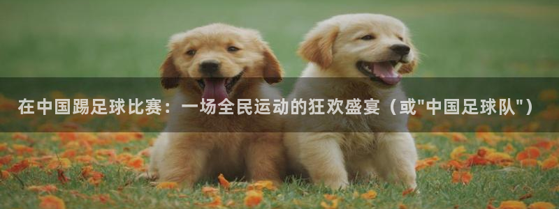 在中国踢足球比赛：一场全民运动的狂欢