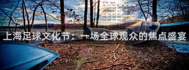 上海足球文化节：一场全球观众的焦点盛