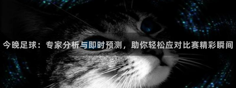 今晚足球：专家分析与即时预测，助你轻