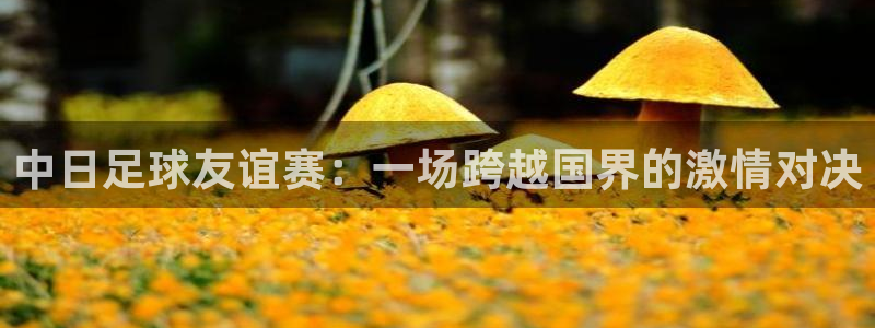 中日足球友谊赛：一场跨越国界的激情对