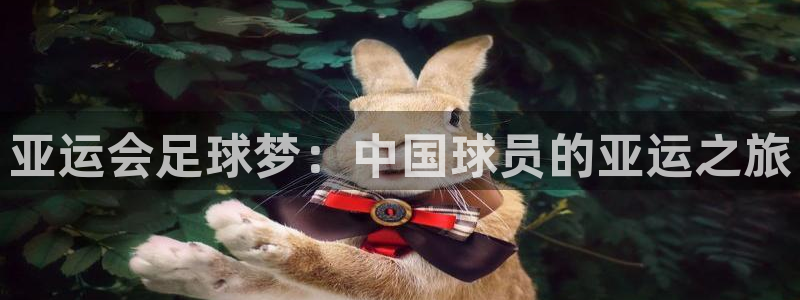 亚运会足球梦：中国球员的亚运之旅