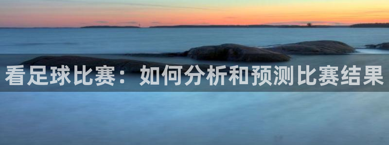 看足球比赛：如何分析和预测比赛结果