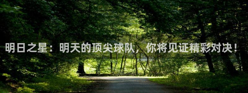 明日之星：明天的顶尖球队，你将见证精
