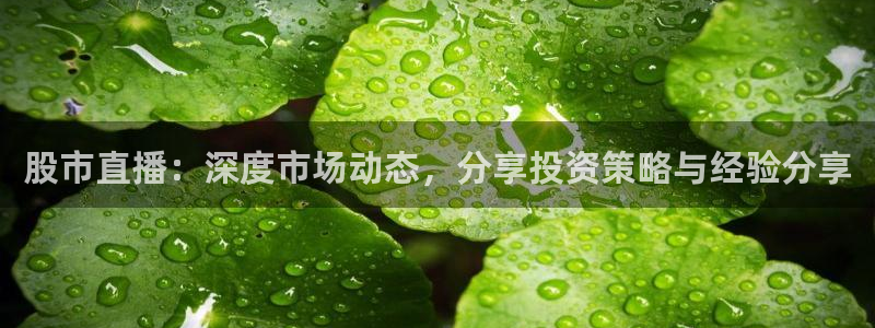 极速体育nba：股市直播：深度市场动态，分享投资策略与经验分享