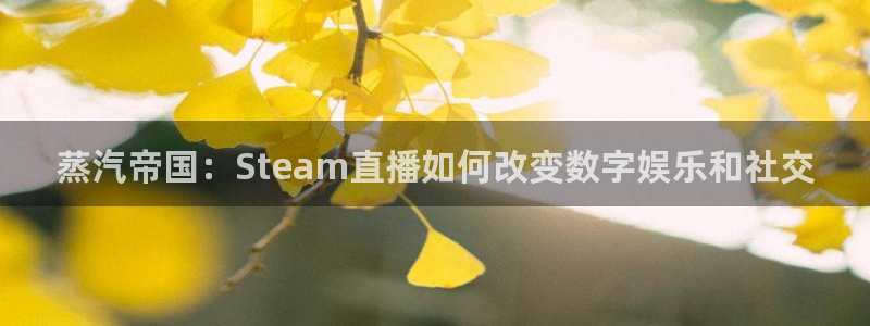 极速体育直播吧体育直：蒸汽帝国：Steam直播如何改变数字娱乐和社交