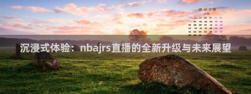 极速体育nba直播观看：沉浸式体验：nbajrs直播的全新升级与未来展望