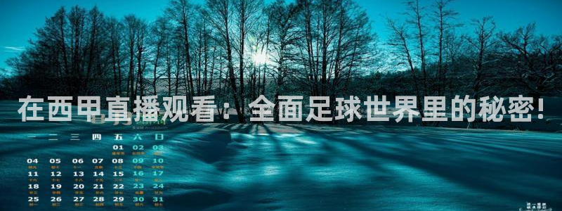 英超极速体育直播间